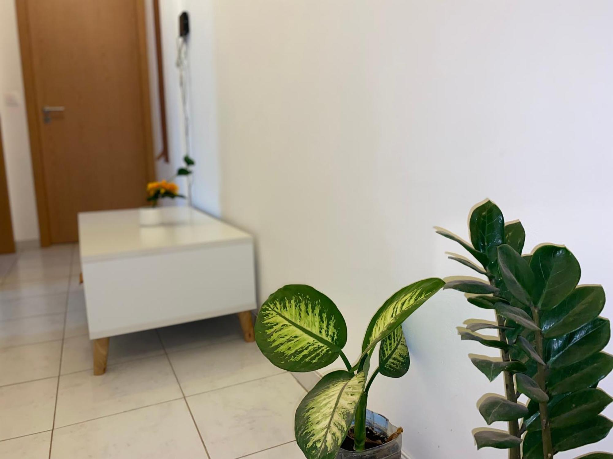 Apartamento T2 Equipado E Aconchegante. Praia Bagian luar foto